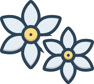 Çiçek simgesi PNG biçimi. Basit minimalist ve zarif tasarım. İlkbahar güzellik bahçesi çiçekleri, bitki örtüsü, romantik estetik süslemeler, dijital grafik, şeffaf arkaplan.