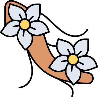 Çiçek simgesi PNG biçimi. Basit minimalist ve zarif tasarım. İlkbahar güzellik bahçesi çiçekleri, bitki örtüsü, romantik estetik süslemeler, dijital grafik, şeffaf arkaplan.