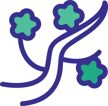 Çiçek simgesi PNG biçimi. Basit minimalist ve zarif tasarım. İlkbahar güzellik bahçesi çiçekleri, bitki örtüsü, romantik estetik süslemeler, dijital grafik, şeffaf arkaplan.
