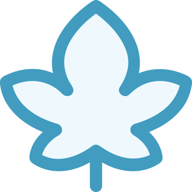 Çiçek simgesi PNG biçimi. Basit minimalist ve zarif tasarım. İlkbahar güzellik bahçesi çiçekleri, bitki örtüsü, romantik estetik süslemeler, dijital grafik, şeffaf arkaplan.