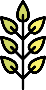 Çiçek simgesi PNG biçimi. Basit minimalist ve zarif tasarım. İlkbahar güzellik bahçesi çiçekleri, bitki örtüsü, romantik estetik süslemeler, dijital grafik, şeffaf arkaplan.