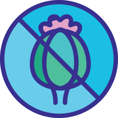 Çiçek simgesi PNG biçimi. Basit minimalist ve zarif tasarım. İlkbahar güzellik bahçesi çiçekleri, bitki örtüsü, romantik estetik süslemeler, dijital grafik, şeffaf arkaplan.