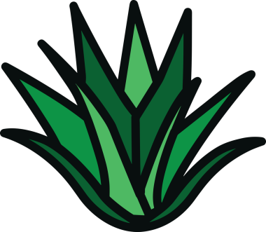 Bitki Simgesi PNG Biçimi Minimalist Çevre Doğası Organik Büyüme için Yeşil Yaprak Tasarımı Botanik Resim Bahçesi Vektörü Doğal Çevre Logosu Dekoratif Yaprak Clipart Düz Çevre Dostu PNG Şeffaf Arkaplan