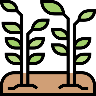 Bitki Simgesi PNG Biçimi Minimalist Çevre Doğası Organik Büyüme için Yeşil Yaprak Tasarımı Botanik Resim Bahçesi Vektörü Doğal Çevre Logosu Dekoratif Yaprak Clipart Düz Çevre Dostu PNG Şeffaf Arkaplan