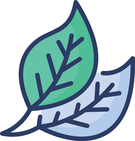 Bitki Simgesi PNG Biçimi Minimalist Çevre Doğası Organik Büyüme için Yeşil Yaprak Tasarımı Botanik Resim Bahçesi Vektörü Doğal Çevre Logosu Dekoratif Yaprak Clipart Düz Çevre Dostu PNG Şeffaf Arkaplan