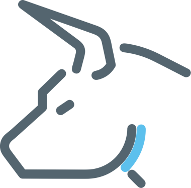 Grafik simgesi png biçimi sunum tasarımı için yüksek kalite web uygulama mobil şablon grafik bilgi analizi iş raporu mali istatistik eğitimi etkileşimli modern minimalist