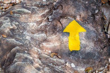 Bir taşın üzerine boyanmış oku ileri taşı.