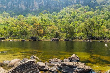 Arka planda ağaçlar olan nehir..