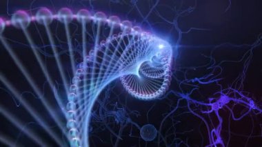 DNA molekülü. 3 Boyutlu Hazırlama.