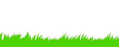 Beyaz arkaplanda izole edilmiş çimenler