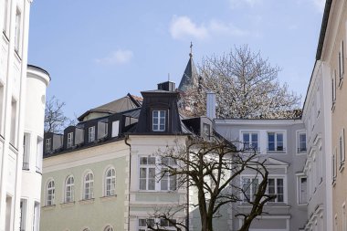 Baharda sokak sahnesi. Güzel binaları ve çiçekli ağaçları olan bir avlu.