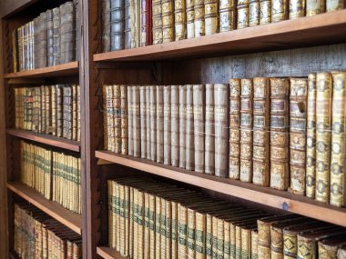 Tarihi bir şatonun raflarında eski bir kitap koleksiyonu.