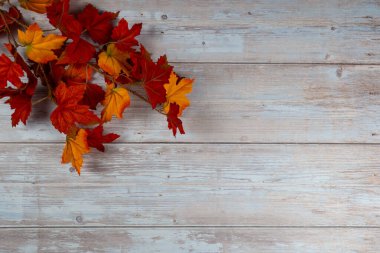 A row of autumn leaves are on a wooden surface. The leaves are orange and red, and they are arranged in a way that creates a sense of movement and life. The wooden surface adds a natural