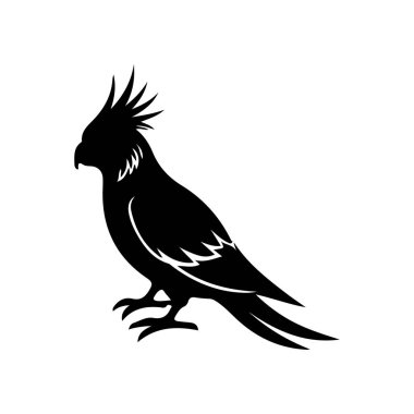 Kuş siluetleri, siyah ve beyaz, vektör grafikleri