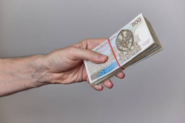 Tarafsız bir arkaplanda Polonyalı zloti banknotlarını tutan bir elin yakın çekimi. Maaş, tasarruf, bütçe, yatırım, gelir, finans veya ekonomik işlem kavramı.