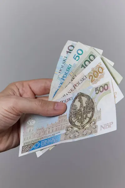 Tarafsız bir arkaplanda Polonyalı zloti banknotlarını tutan bir elin yakın çekimi. Maaş, tasarruf, bütçe, yatırım, gelir, finans veya ekonomik işlem kavramı.