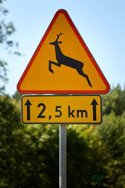 Önümüzdeki 2,5 km boyunca geyik geçişi için üçgen trafik işareti uyarısı. Yoldaki olası yaban hayatı belirtileri, sürücülerin yavaşlayıp kırsal ya da ormanlık alanlarda tetikte olmalarını hatırlatıyor..