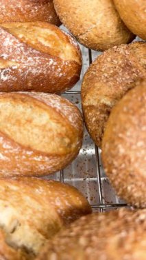 Bir fırında sergilenen taze pişmiş altın-kahverengi ekmek rulolarının yakın çekim videosu. Geleneksel çıtır çıtır ekmek ve içi yumuşak. Taze yemek, pişirme ve ev yapımı ekmek kavramı.