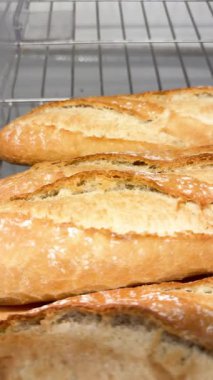 Bir fırında sergilenen Fransız mini ekmeklerinin yakın çekim videosu. Kıtır kıtır kıtır ve içi yumuşak kahverengi. Geleneksel Fransız ekmeği, sandviç, kahvaltı ve gurme yemekleri için ideal..