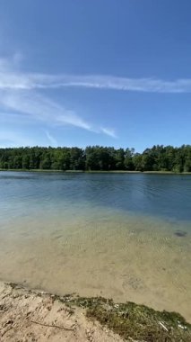 Sakin bir gölün sığ kumlu kıyı şeridi. Arka planda temiz su ve orman var.