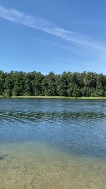 Net, sakin bir göl manzarası ve karşı tarafında sık bir orman var.