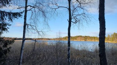 Finlandiya 'da akşam vakti göl