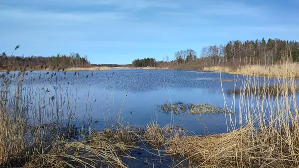 Arkasında bir göl olan güzel bir manzara.