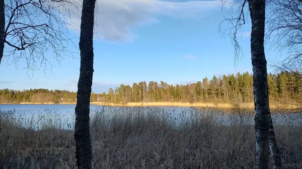 Finlandiya 'da akşam vakti göl
