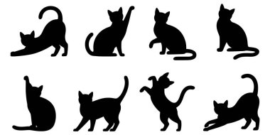 Çeşitli kedilerin değişik şekillerdeki çizimleri kedilerin tuhaf ve sanatsal bir tasvirini gözler önüne seriyor.