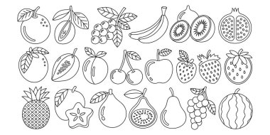 Meyve simgeleri, çeşitli sağlıklı besin seçeneklerine göre düzenlenmiş çizim biçimi