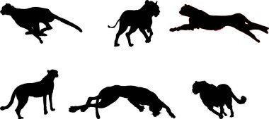 Düz dizayn Çita siluetleri birden fazla şekil