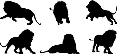 Düz dizayn aslan siluetleri.