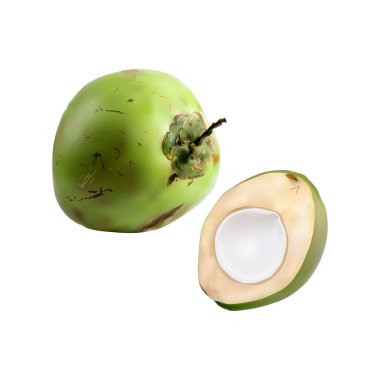 Beyaz arkaplan vol 01 üzerinde taze hindistan cevizi illüstrasyonu