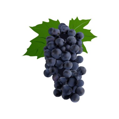 Üzümlü meyve dilimleri beyaz arkaplan vol 01