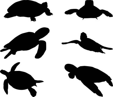 El yapımı kaplumbağa silueti.