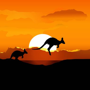  Kanguru hayvan gün batımı manzara vektörü Çizimi