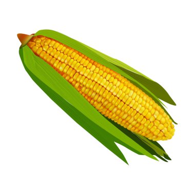 Beyaz arkaplan vol 01 üzerinde mısır Mısır illüstrasyonuName