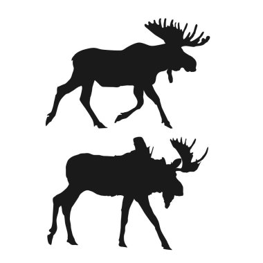 Geyik siyah silueti görünümü Vol 01