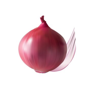 Beyaz arkaplan vol 01 üzerinde soğan illüstrasyon vektörü çizimi