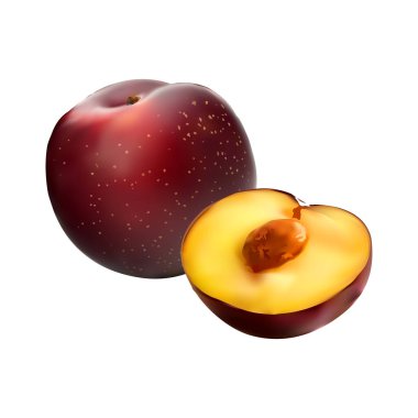 Beyaz arkaplan vol 01 üzerindeki erik dilimi çizimi