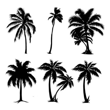 Palm Tree Siluet Vektör Sermaye Çizimleri Vol 01