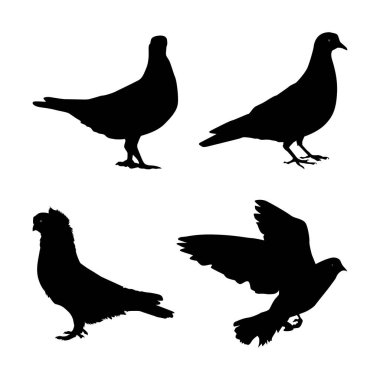 Beyaz arka plan Vol 01 üzerindeki siyah güvercin siluetleri