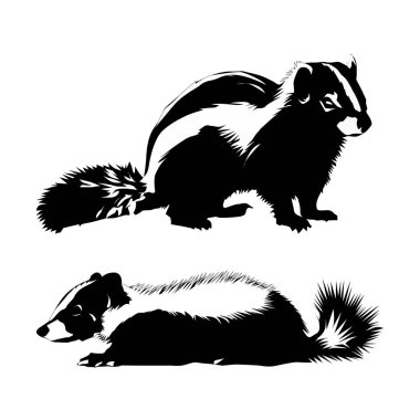 Kokarca silueti seti, Siyah ve Beyaz, beyaz arka plan Vol 03