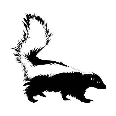 Kokarca silueti, Siyah ve Beyaz, beyaz arka plan Vol 04