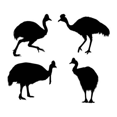 Güney cassowary siyah siluetleri vol 01 set