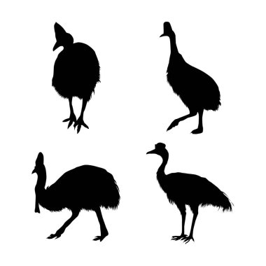 Güney cassowary siyah siluetleri vol 02 set