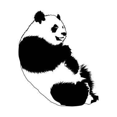 Panda silueti, basit siyah-beyaz Vol 01 'iyle bu sevgili ayının temiz ve büyüleyici bir temsili.