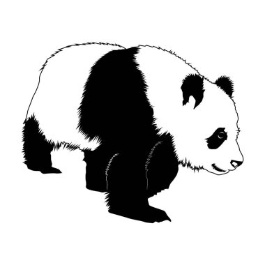 Panda silueti, basit siyah beyaz Vol 05 ile bu sevgili ayının temiz ve büyüleyici bir temsili.