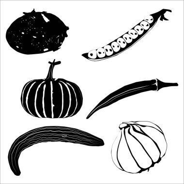 Sebze silueti Vol 02 'yi çiziyor