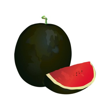 Karpuz Stoku Resimleri, vektör tabanlı el çizimi beyaz arka plan Vol 02